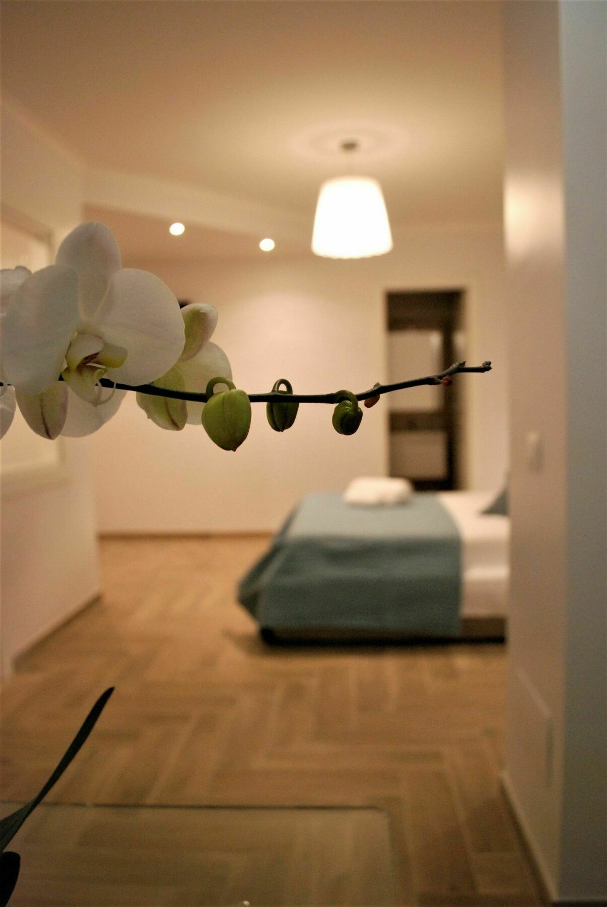 San Teodoro Al Palatino Rooms&loft